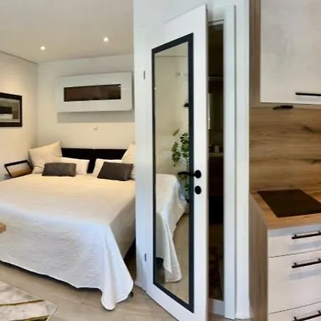 公寓 Premium-wohlfuehlappartement Schladming-dachstein