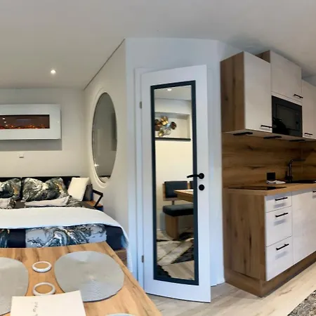 公寓 Premium-wohlfuehlappartement Schladming-dachstein