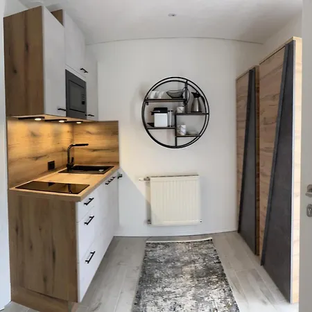 Premium-wohlfuehlappartement Schladming-dachstein 公寓 *