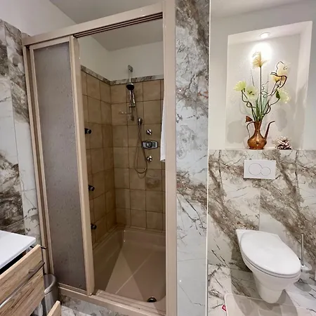 公寓 Premium-wohlfuehlappartement Schladming-dachstein